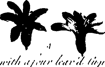 099/099320011600780_6.png