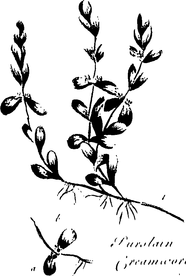 099/099320011600790_0.png