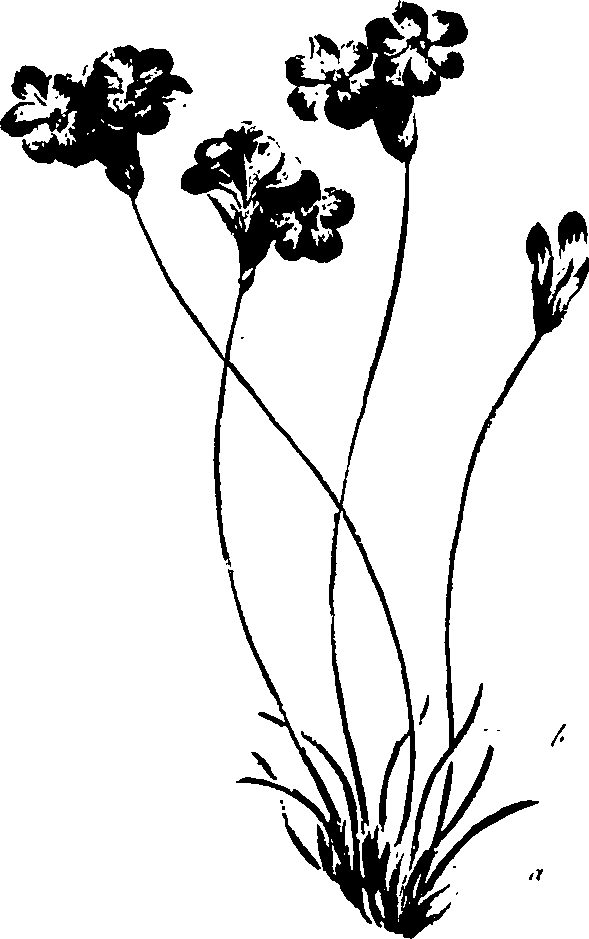 099/099320011600790_1.png