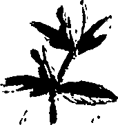 099/099320011600800_0.png