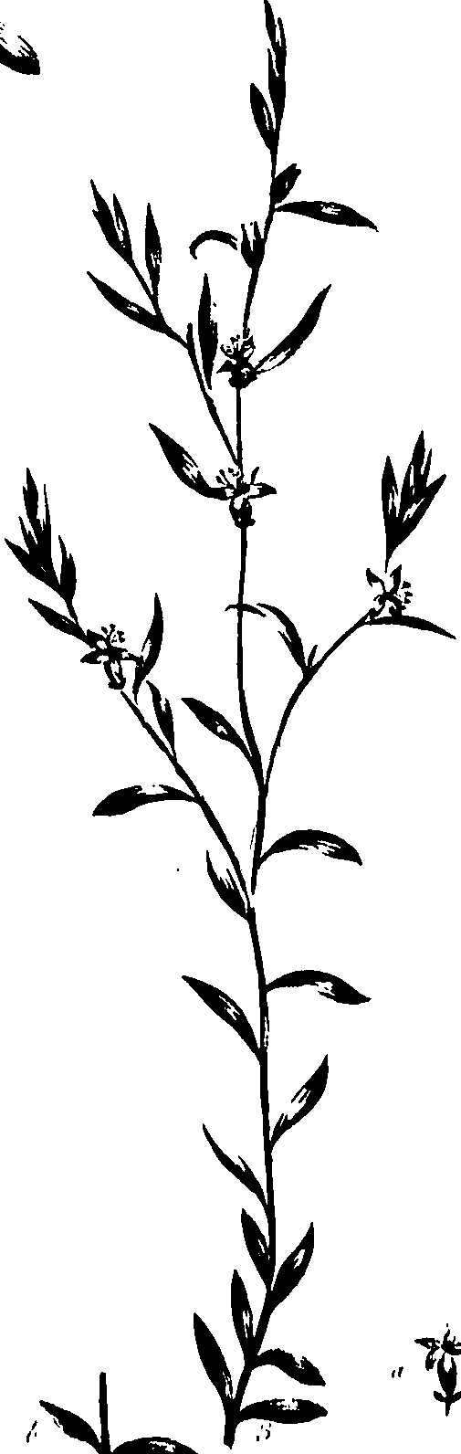 099/099320011600820_0.png