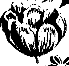 099/099320011600860_0.png