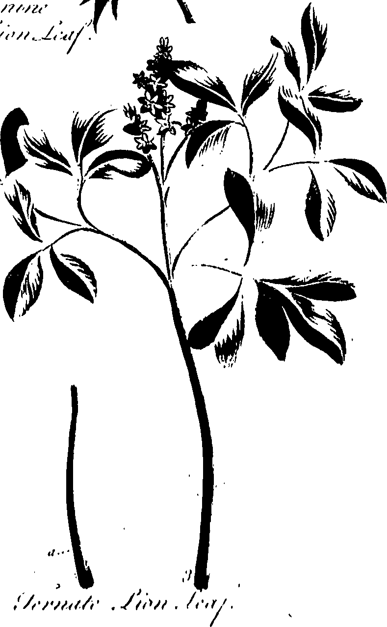 099/099320011600890_0.png