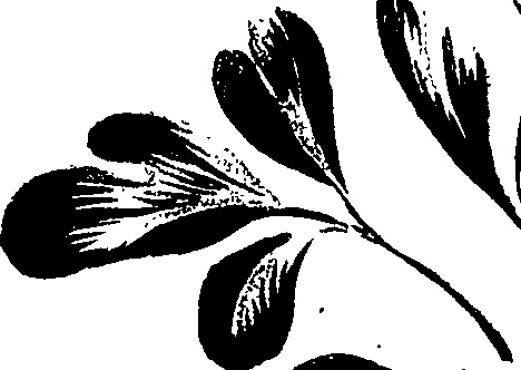 099/099320011600890_1.png