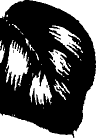 099/099320011600910_0.png