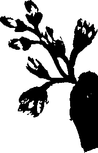 099/099320011600910_2.png