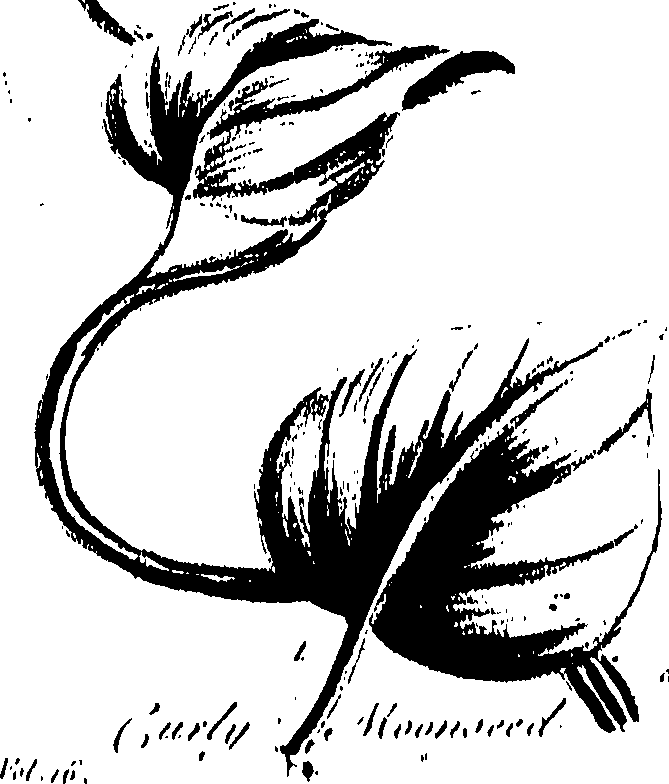 099/099320011600920_0.png