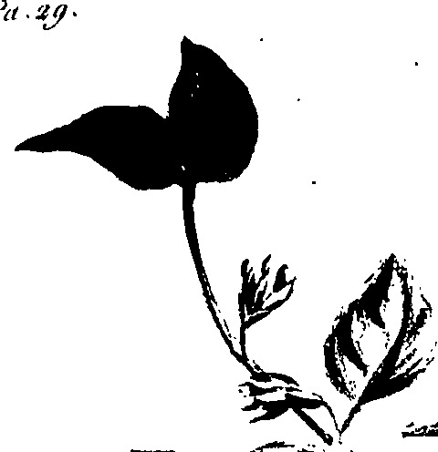 099/099320011600920_1.png