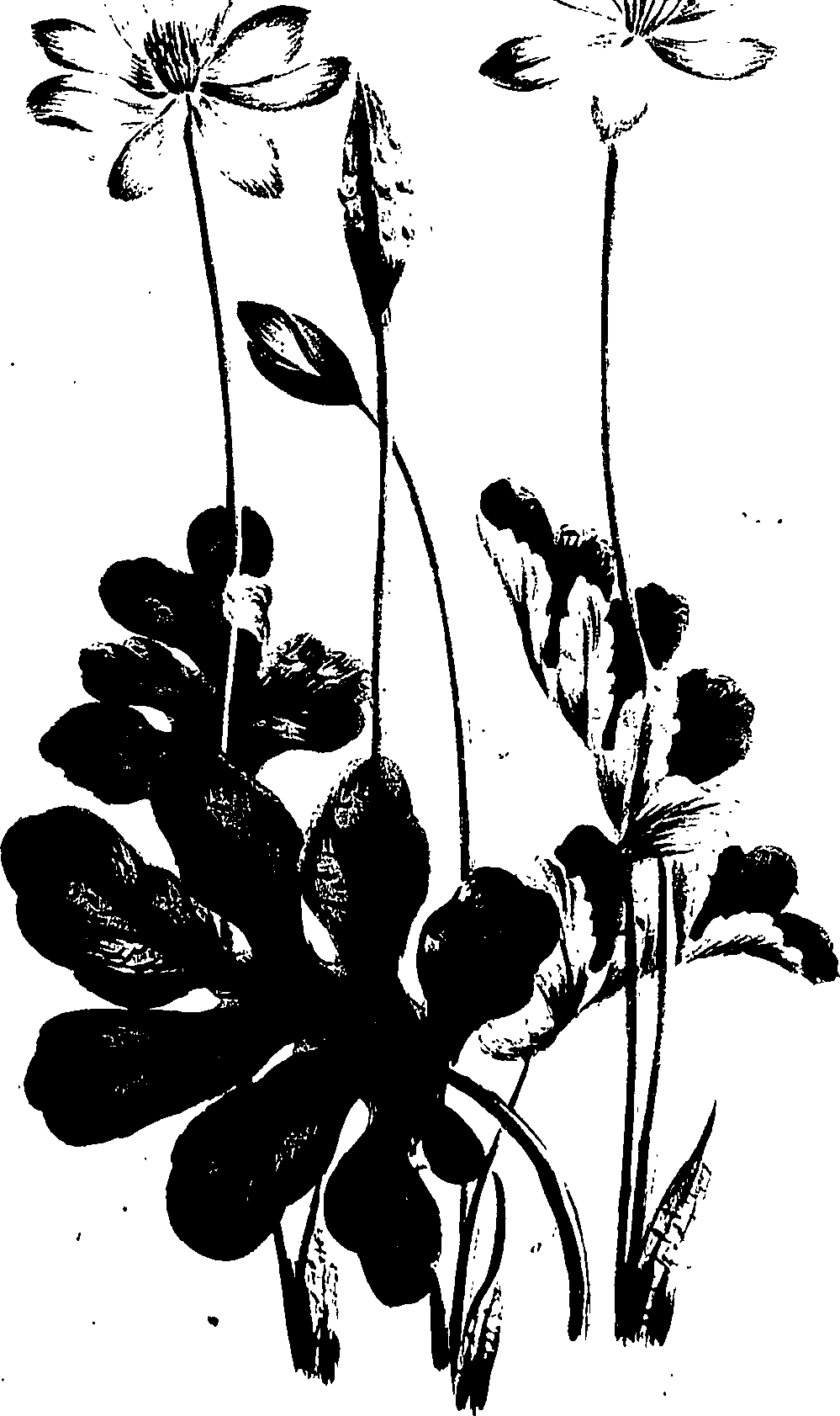 099/099320011600940_0.png