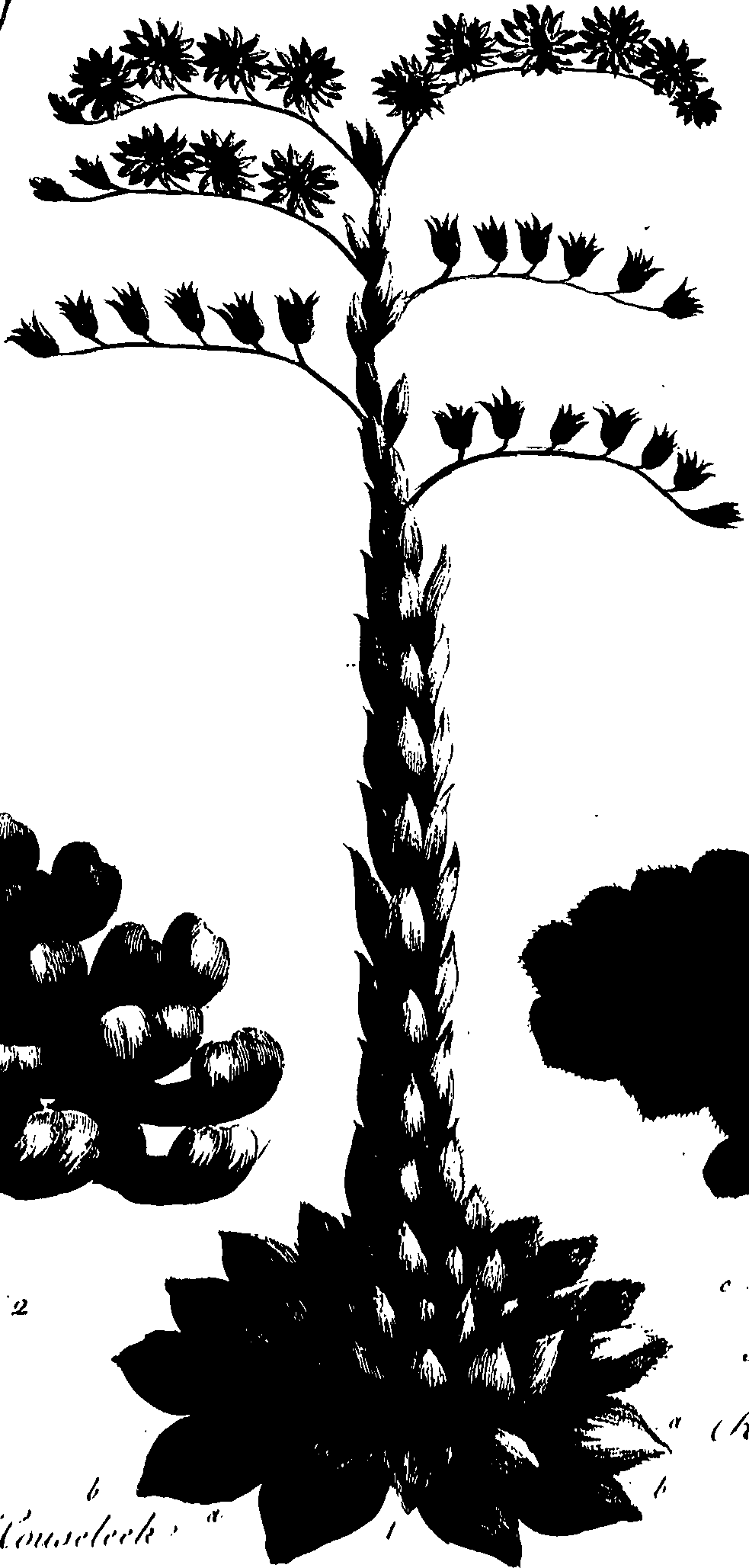 099/099320011600970_0.png