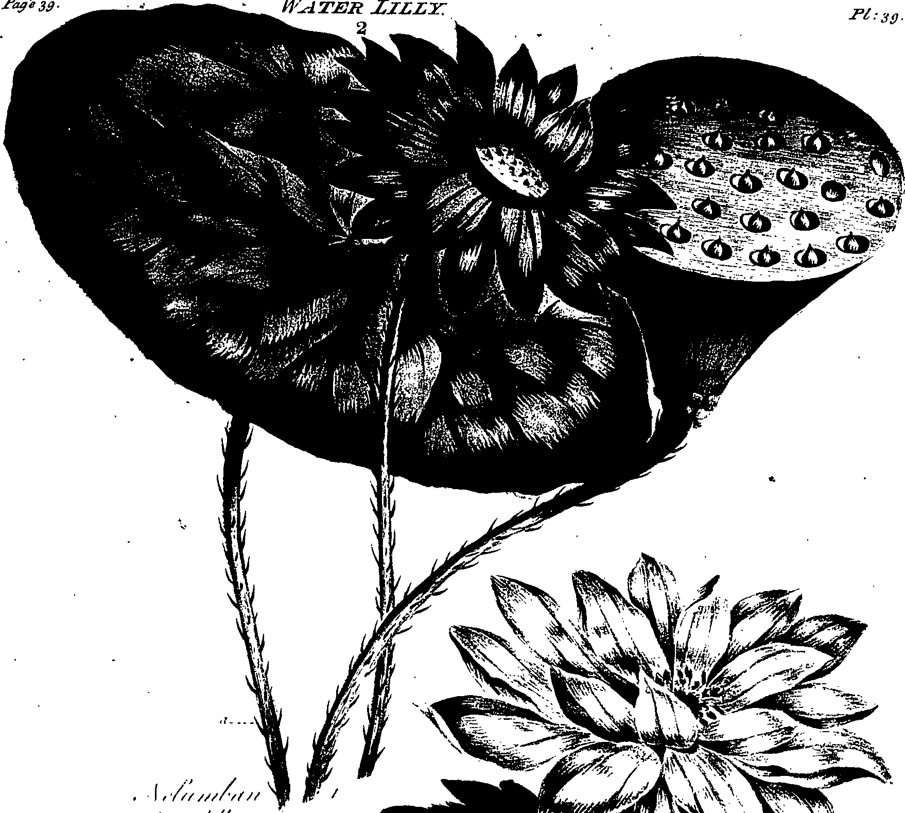 099/099320011601020_0.png