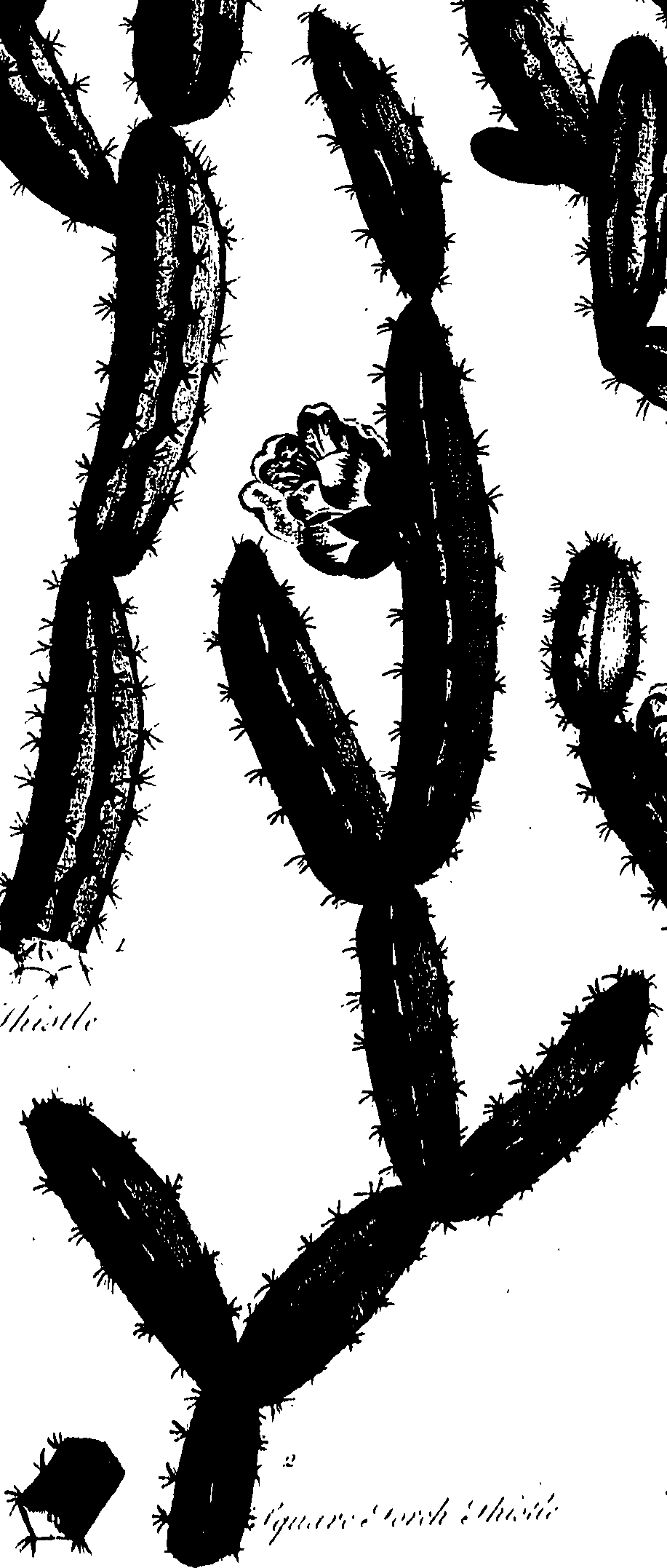 099/099320011601040_0.png