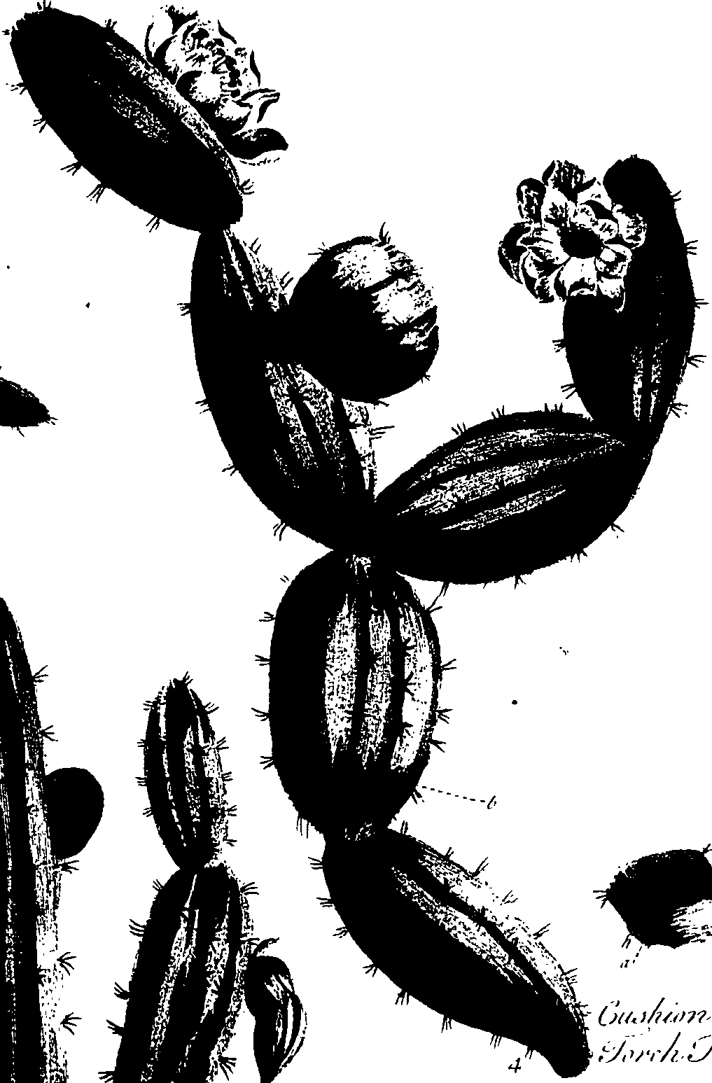 099/099320011601050_0.png