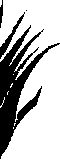 099/099320011601060_0.png