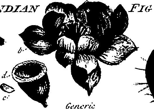 099/099320011601080_0.png