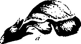 099/099320011601110_0.png