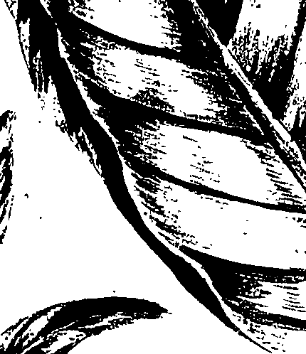 099/099320011601140_0.png