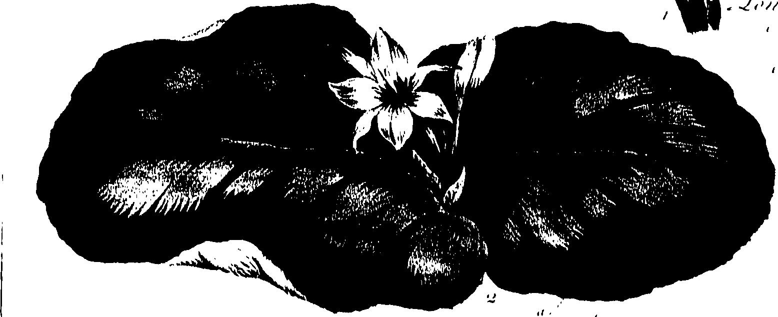 099/099320011601160_0.png
