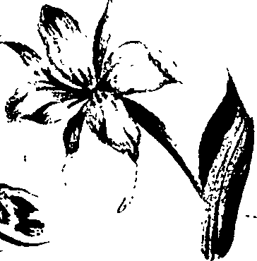 099/099320011601160_1.png