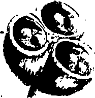 099/099320011601190_0.png