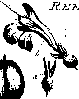 099/099320011601190_1.png