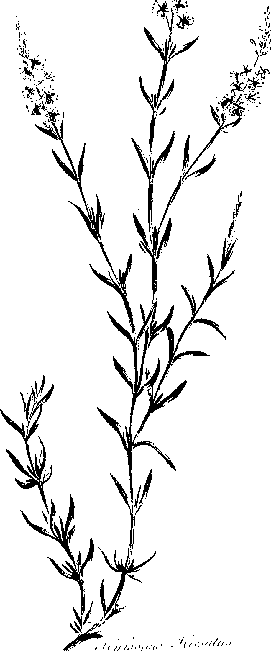 099/099320011601220_0.png