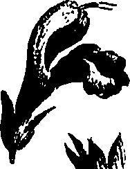 099/099320011700670_0.png