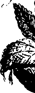 099/099320011700680_1.png