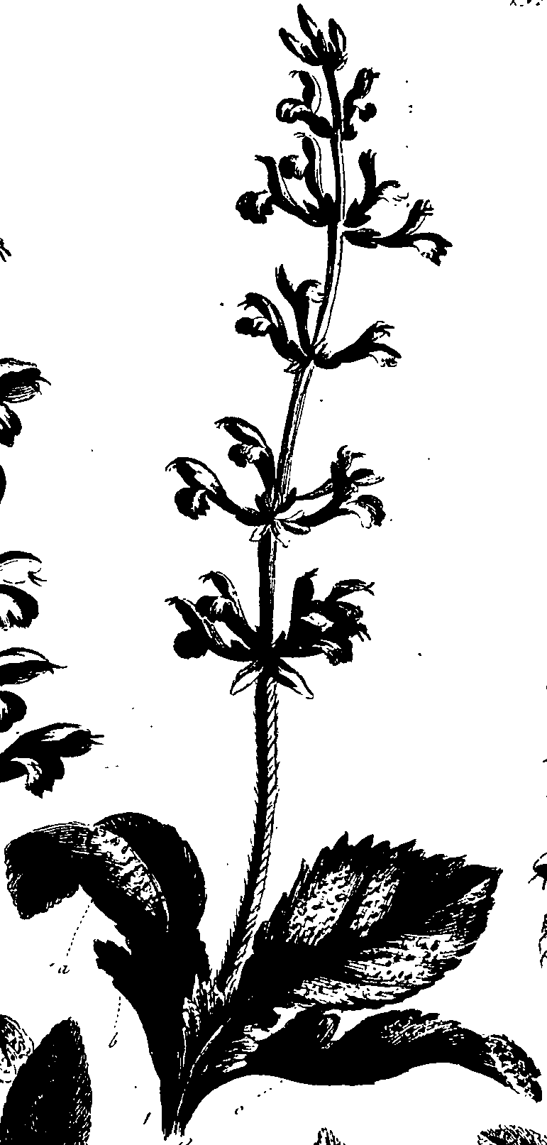 099/099320011700680_2.png