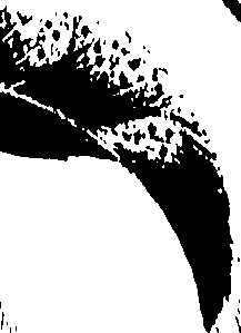 099/099320011700700_0.png