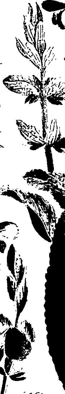 099/099320011700700_1.png