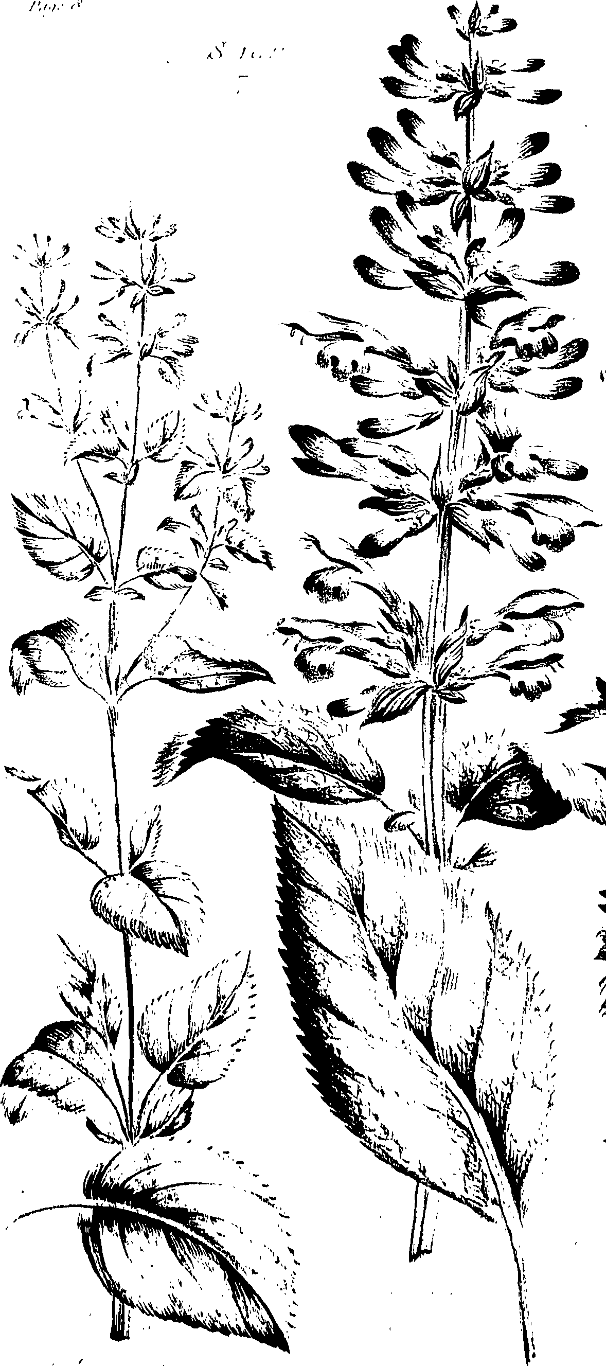 099/099320011700730_0.png
