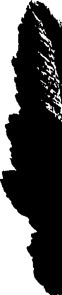099/099320011700740_0.png