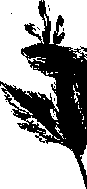 099/099320011700740_1.png