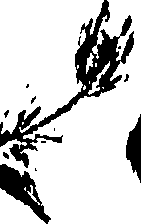 099/099320011700760_0.png