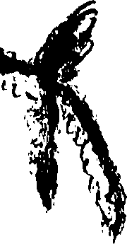 099/099320011700770_1.png