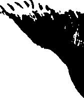 099/099320011700770_2.png