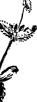 099/099320011700770_3.png