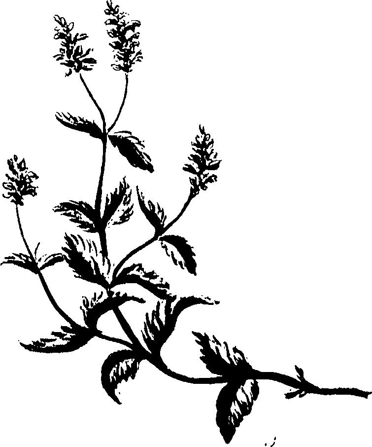 099/099320011700800_0.png