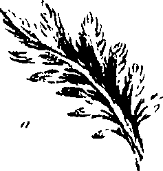 099/099320011700800_1.png