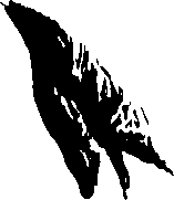099/099320011700810_0.png