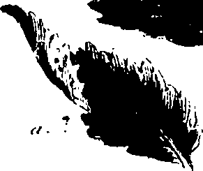 099/099320011700810_1.png