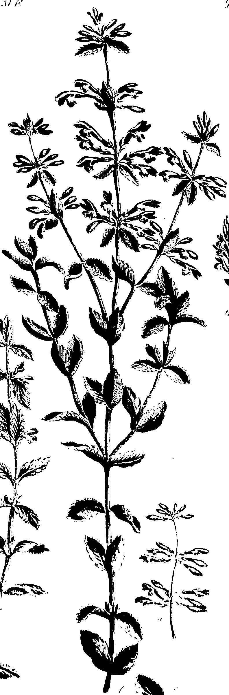 099/099320011700870_0.png