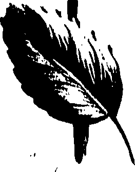 099/099320011700890_0.png