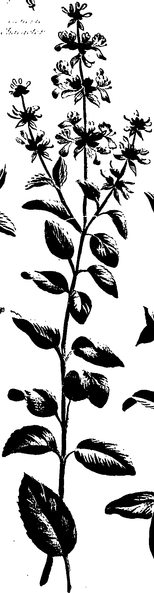 099/099320011700890_1.png