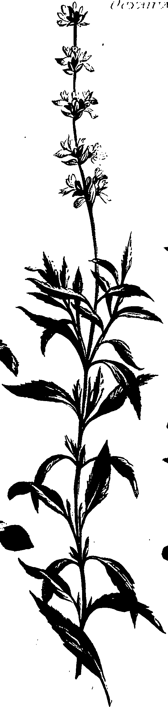 099/099320011700920_0.png