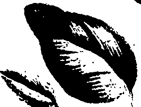 099/099320011700930_0.png