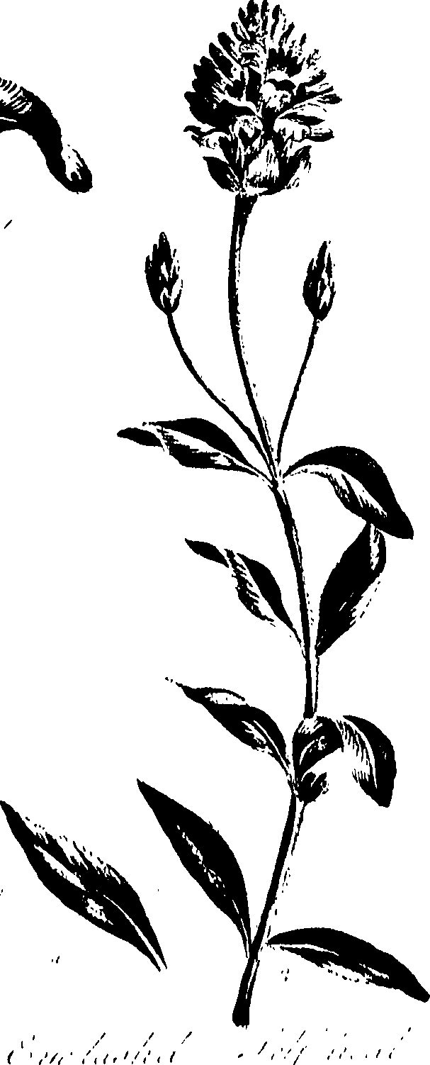 099/099320011700930_1.png