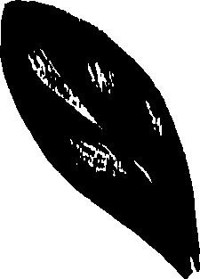 099/099320011700940_1.png