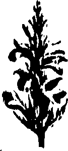 099/099320011700960_0.png
